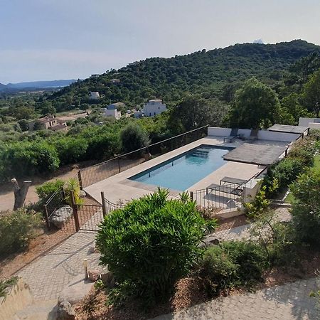 Tres Belle Residence Vue Mer Et Piscine Chauffee - Baccalocation بورتو فيكشْيو المظهر الخارجي الصورة